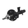 Buy cheap Front Coilover Suspension Shock Absorber For Honda Avancier 51611THBH01 51621THBH01 52610THBH01 from wholesalers