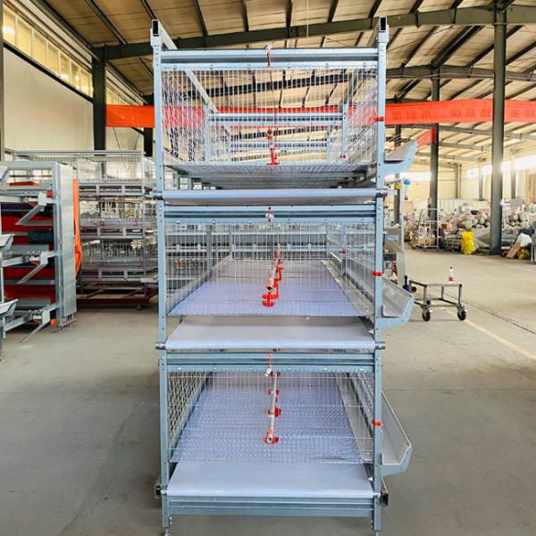 Buy cheap 1500x1000 Mm Size Broiler Cage Poultry Drinking System from wholesalers