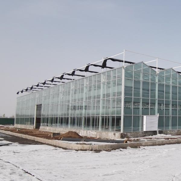 Buy cheap Customized Film Thinckness Multi-Span Glass Sheet Greenhouse for Tunnel Cultivation from wholesalers