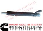 3926117 3922913 3802485 3926120 Cummins Fuel Injectors For 6CT8.3