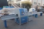 DZ-450-6000 Industrial Cut Off Saw Automatic Wood Pallet Cutting Machine