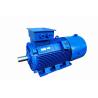 Buy cheap Medium And High Voltage Induction Motors 6KV Waterproof from wholesalers