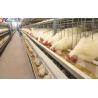 Buy cheap Poultry Broiler Cage Equipment Automatic H Type Broiler Cage from wholesalers