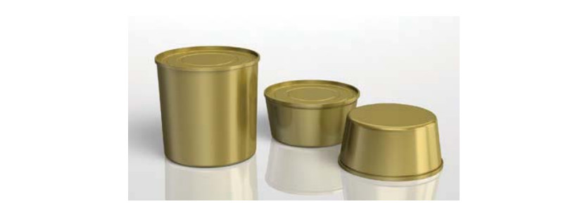 MR Grade Tin Free Steel Coils / Sheets with BA and CA Annealing for Food Packaging TFS