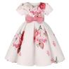 Buy cheap Summer Children's Clothing Children'S Retro Print Bow Puffy Dress from wholesalers