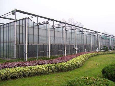 Strong Structure Large Glass Greenhouse , Venlo Glass Greenhouse Single Layer