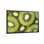 21.5 Inch SAW Touch Monitor With 1000:1 High Contrast Ratio