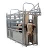 Buy cheap Galvanized Steel Fence Cow Ring Hot Galvanized Livestock Fencing Squeeze Chute Hot Dipped from wholesalers