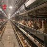 Buy cheap 144 Birds Capacity H Type Layer Cage For Commercial Chicken Mia from wholesalers