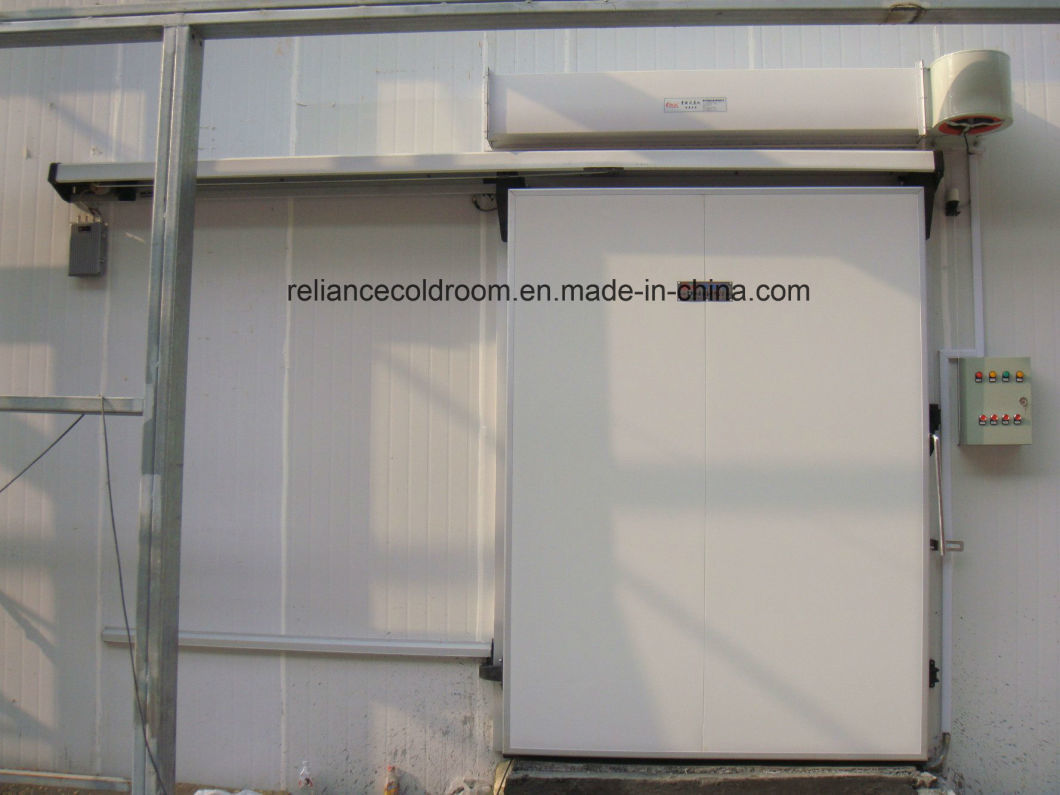 100 Cbm Beef Freezer Room with Stainless Steel Panel