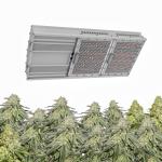 1000W greenhouse horticulture toplight indoor plants high efficiency IP65 HPS