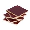 Buy cheap Bridge Construction Birch Faced Plywood 18mm 25mm Birch Plywood from wholesalers
