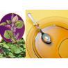 Buy cheap Hot Pressed Healthy Edible Oil Perilla Oil Suitable For Seasoning Cooking from wholesalers