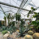 Commercial Greenhouse Type Roof Glass Greenhouse with Hydroponic System 30-Day
