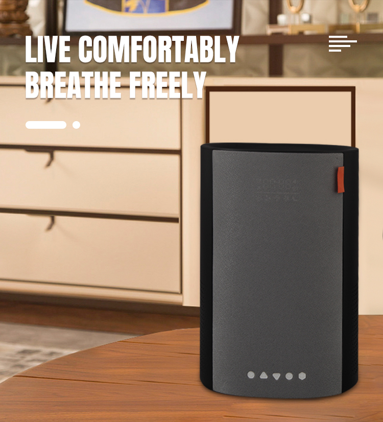 Desktop Deep UV Sterilizer PM2.5 Air Purifier Bluetooth Music Low Noise
