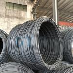 Galvanized Iron 1mm Spring Stainless Steel Wire 304 316 201 Grade