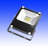 Buy cheap 20watt led floodlights |outdoor lighting| LED lighting fixtures from wholesalers