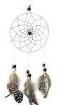 Beautiful Dream Catcher hand-woven Dreamcatcher with white feathers for home