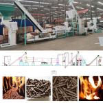 Pine Wood Pellet Production Line 1TPH-10TPH Birch Poplar Biomass Pellet Line