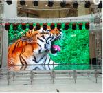 Buy cheap P1.9mm P2.5mm Pixel Pitch Led Screen , Display Panel Screen For Advertising P2 from wholesalers