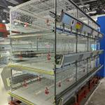Q235 Hot Galvanized Automatic Day Old Chicks Cage For Poultry Farm