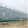 Buy cheap Galvanized Steel Pipe Automatic Venlo Glass Greenhouse For Botanical Garden from wholesalers