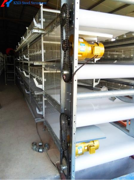 Buy cheap Chicken Automatic Manure Cleaning System Of Poultry House Cage Feeding from wholesalers
