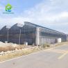Buy cheap Customized Frame Plastic Film Agricultural Poly Tunnel Multi-span Greenhouse For Sale from wholesalers