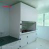 Buy cheap OEM Chemical Proof FRP Chemistry Perchloric Acid Fume Hoods For School Clean Room from wholesalers