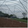 Buy cheap Single Span Plastic Tunnel Greenhouse Polyethylene Farm Agriculture Support from wholesalers