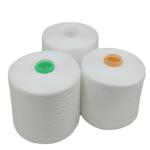 20/2 20/3 20/6 Raw White 100% Ring Spun Polyester Yarn Sewing Knitting Garments