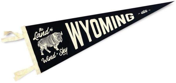 Buy cheap Sublimation 110gsm Polyester Felt Flag Banner For School from wholesalers