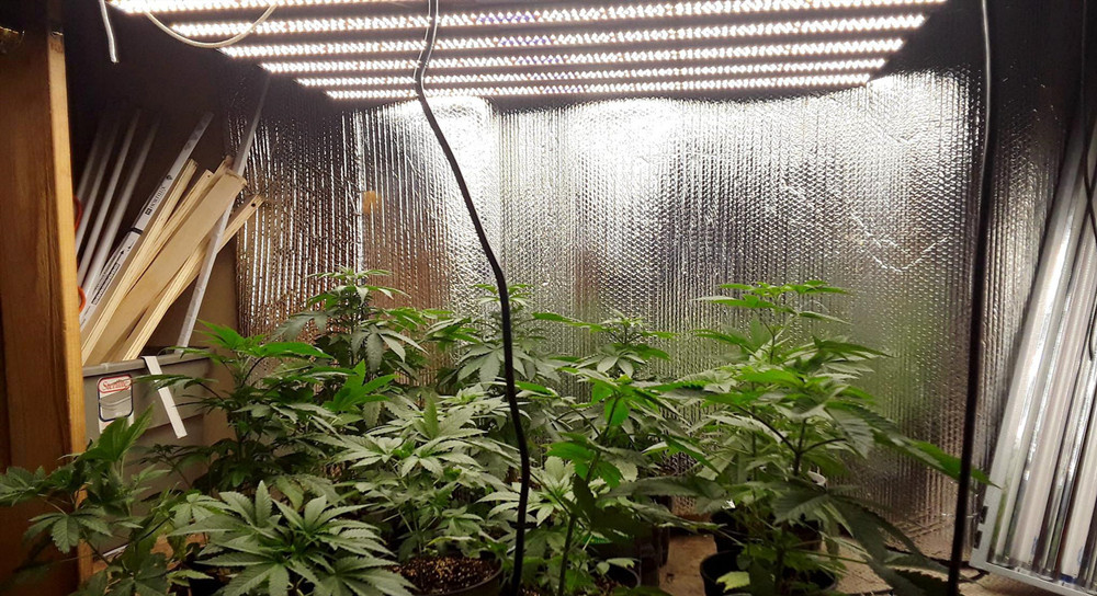 High Power LED Grow Light Bar For Microgreens Deep Penetration 110V/220V AC