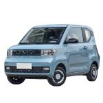 E100 E300 Ev Electric Car