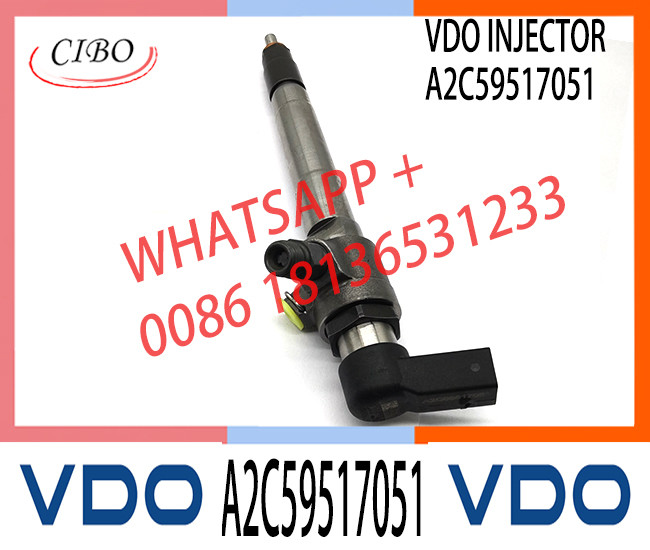 Diesel Fuel Injector BK2Q-9K546-AG A2C59517051 For Ford Transit / Ranger 2.2 TDCi A2C59517051