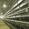 Buy cheap Battery Power Baby Chick Cage Low Disease Land Saving 1.5 Years Warranty from wholesalers