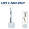 Buy cheap 6:1 Wireless Endo Motor Apex Locator For Endodontic Root Canal Treatment from wholesalers