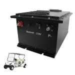Green Energy Storage LFP Battery Pack 51.2V 160Ah Golf Cart Li ion
