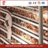 Buy cheap A Type Full Automatic Chicken Cage Equipment For 20,000 Capacity Poultry Farm Sandy from wholesalers