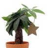 Buy cheap Stars Shape Flexo Printing For Christmas Celebration Cardboard Gift Tags from wholesalers