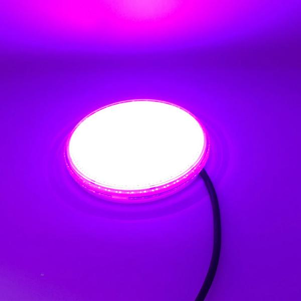 Buy cheap Piscina 50000h 42.3mm Resin Filled Pool Light from wholesalers