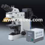 Trinocular Fluorescence Microscope Stereoscopic For Biological