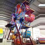 High Performance Fairground Ferris Wheel / Indoor Ferris Wheel With 5 Cabin