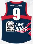 300gsm Powersports Aussie Rules Jersey Guernsey 58-97cm Sleeve