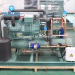Energy Saving Copeland Condensing Unit , 380V Compressor