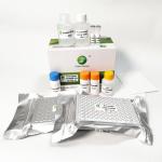Porcine Japanese B Encephalitis Virus Swine Influenza Test Kit Ab ELISA 192