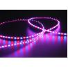 Buy cheap SMD3210 RGB 3mm Wide Addressable LED Strip 150LEDs/M 5VDC from wholesalers