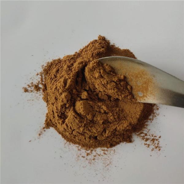 Buy cheap Medicine Grade Anti-inflammatory Cactus Extract Powder from wholesalers