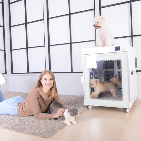 Buy cheap Portable PET Drying Room 2 Blowers , 1200W Pet Dryer Cage safety from wholesalers