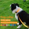 Buy cheap Nylon Dog Collar Secure Comfortable Pet Management multiple colors custom from wholesalers